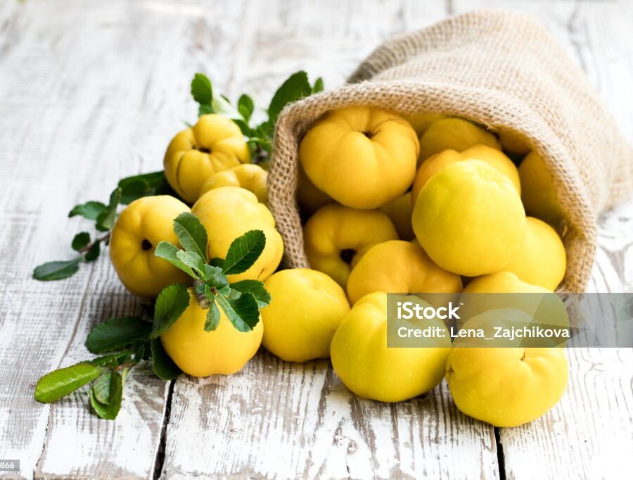 Fresh  quince fruits on white wooden table